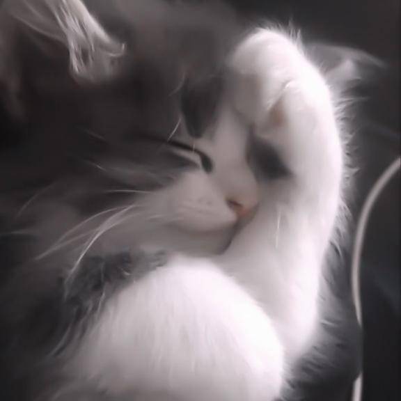 ネルさん　写メ画像