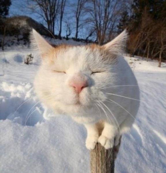 ネルさん　写メ画像