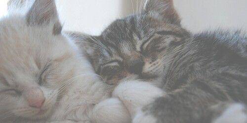 ネルさん　写メ画像