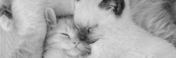 ネルさん　写メ画像