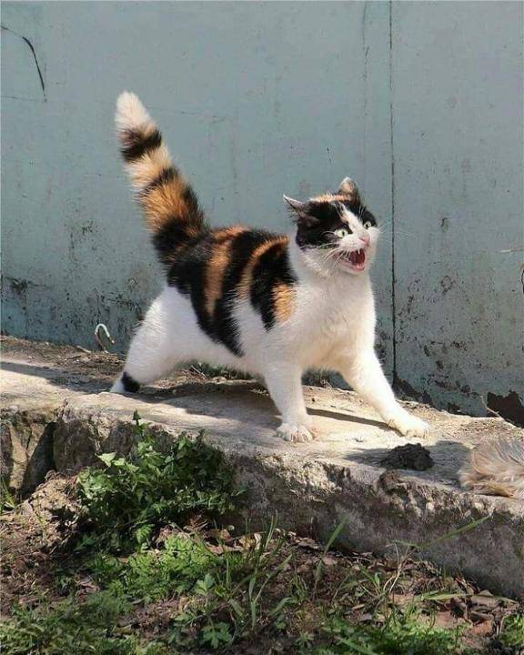 ネルさん　写メ画像