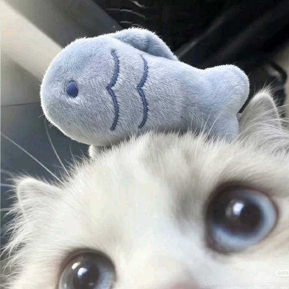 ネルさん　写メ画像
