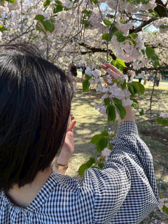 サナさん　写メ画像