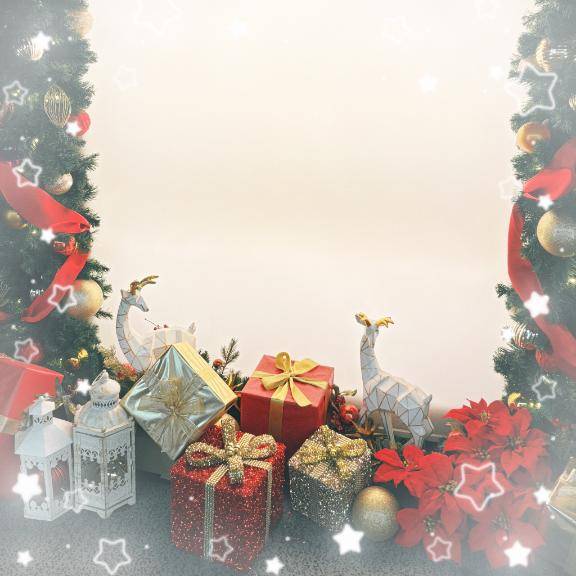 コトリさん　写メ画像